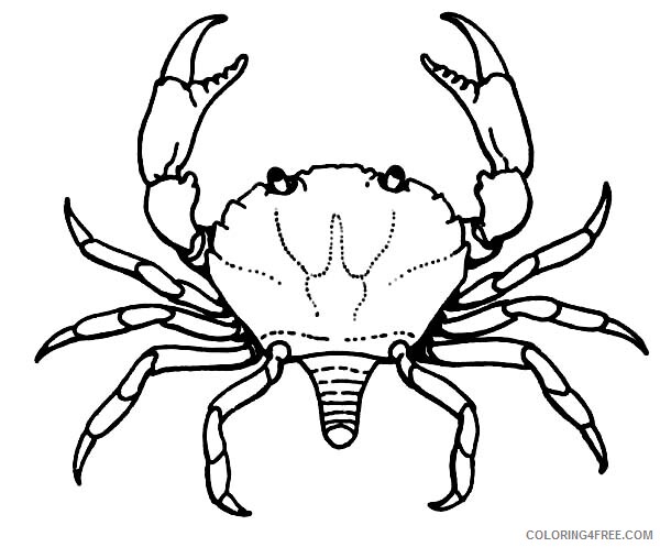 Crab Coloring Pages Animal Printable Sheets Crab Breeding for Consumption 2021 Coloring4free