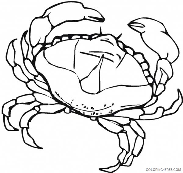 Crab Coloring Pages Animal Printable Sheets Female Crab 2021 1243 Coloring4free