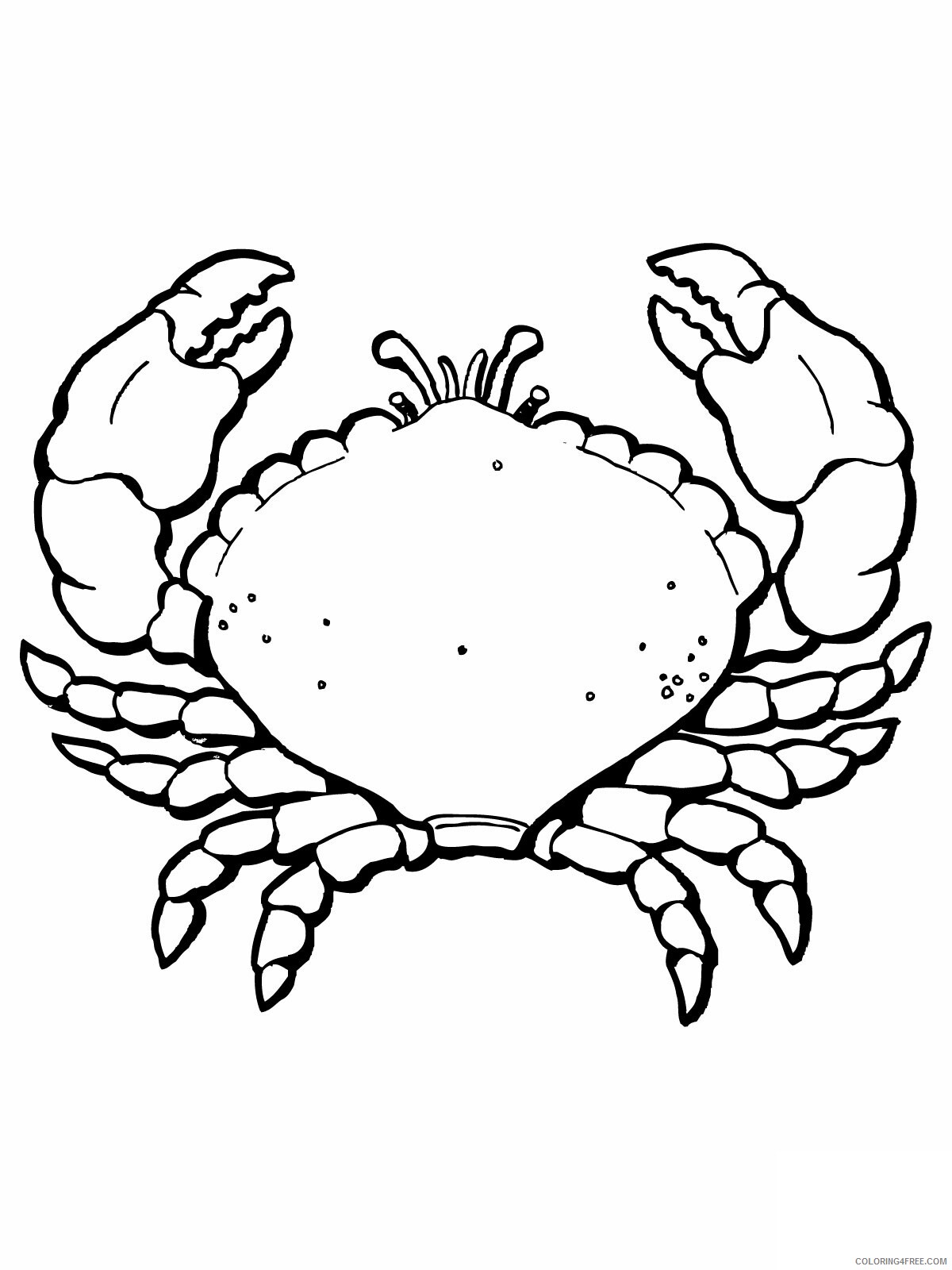 Crab Coloring Pages Animal Printable Sheets Free Crab 2021 1244 Coloring4free