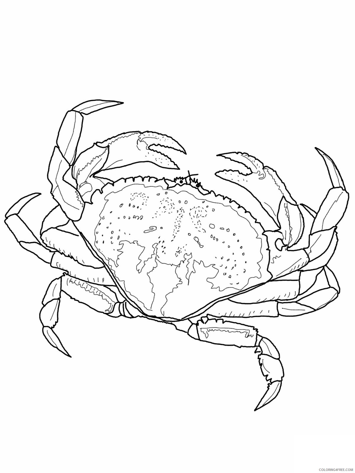 Crab Coloring Pages Animal Printable Sheets Pictures of Crab 2021 1247 Coloring4free