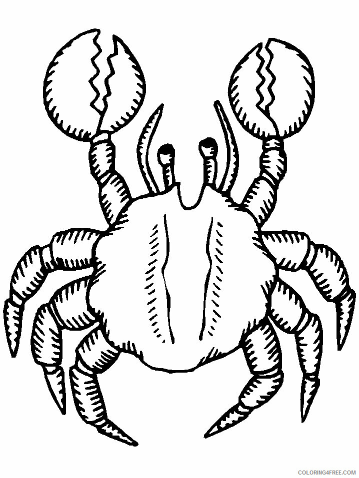 Crab Coloring Pages Animal Printable Sheets crab4 2021 1230 Coloring4free