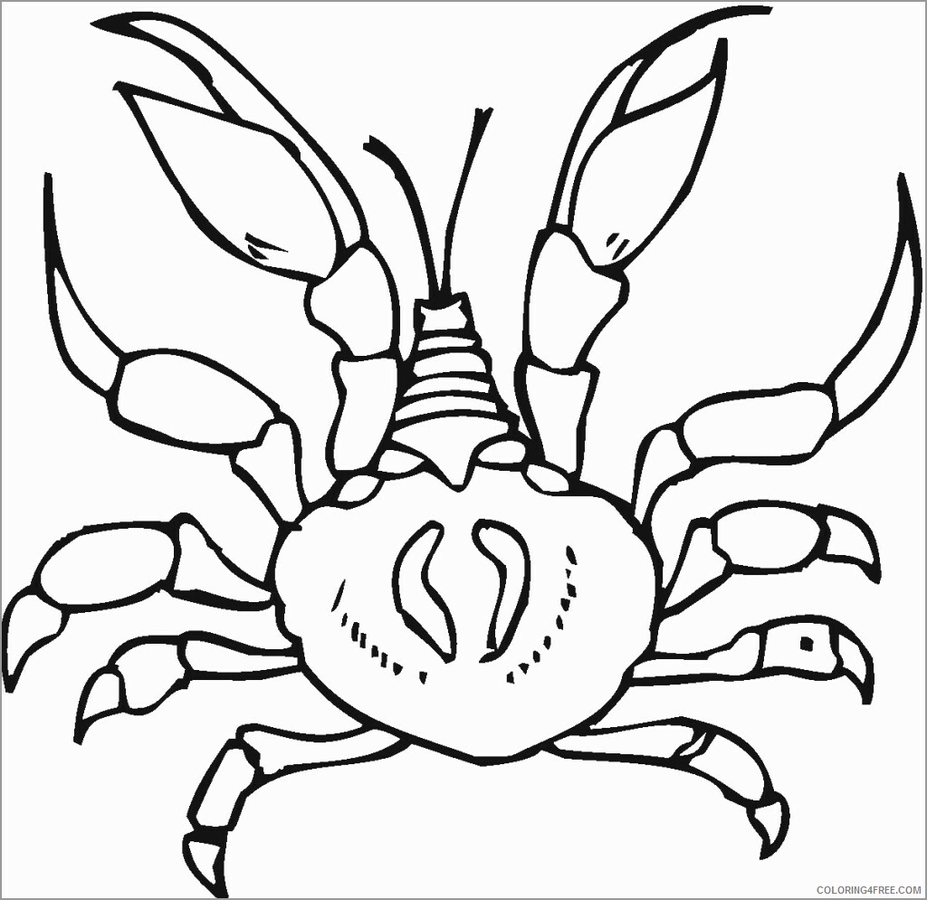 Crab Coloring Pages Animal Printable Sheets printable crab hard 2021 1248 Coloring4free