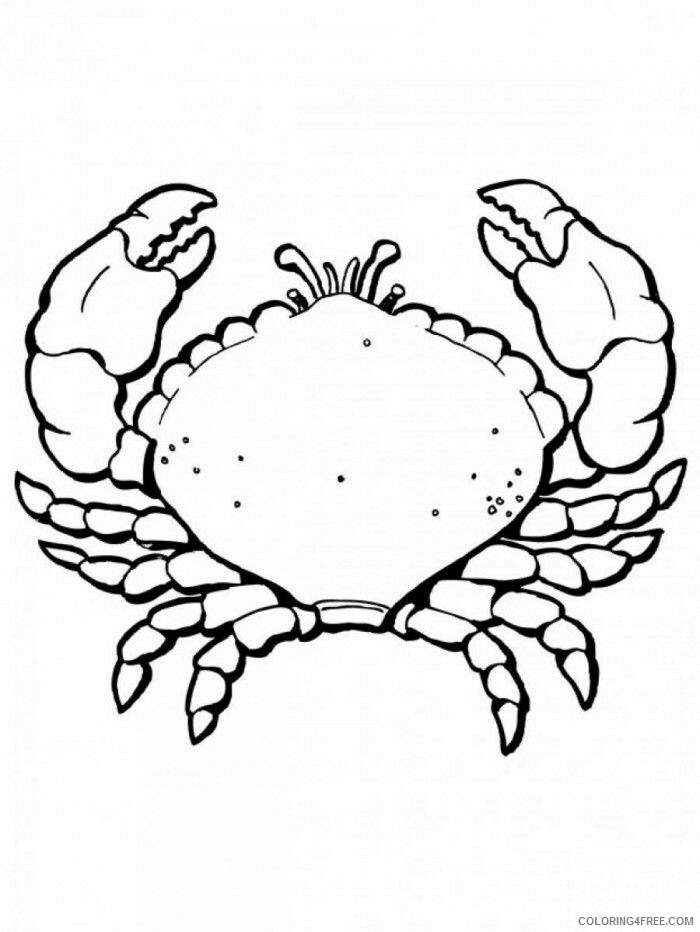 Crab Coloring Sheets Animal Coloring Pages Printable 2021 0967 Coloring4free