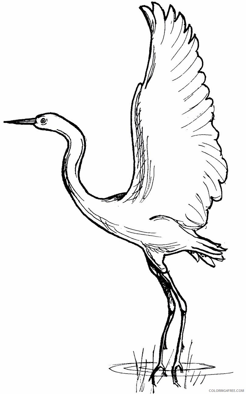 Cranes Coloring Pages Animal Printable Sheets Crane 2021 1253 Coloring4free