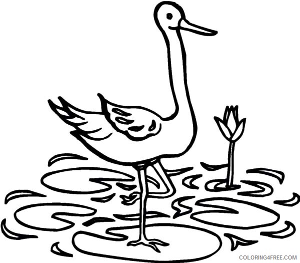 Cranes Coloring Pages Animal Printable Sheets Crane in Water 2021 1257 Coloring4free