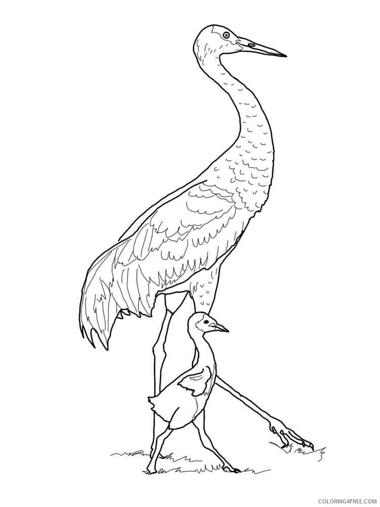 Cranes Coloring Pages Animal Printable Sheets Cranes birds 10 2021 1259 Coloring4free