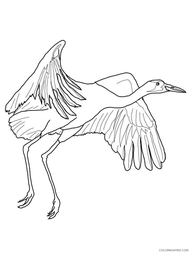 Cranes Coloring Pages Animal Printable Sheets Cranes birds 11 2021 1260 Coloring4free