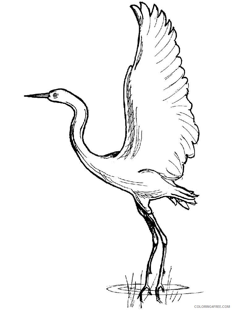 Cranes Coloring Pages Animal Printable Sheets Cranes birds 13 2021 1262 Coloring4free