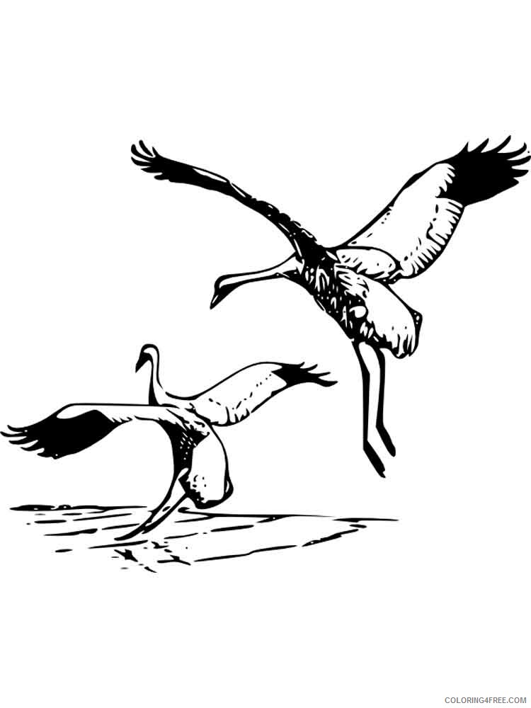 Cranes Coloring Pages Animal Printable Sheets Cranes birds 17 2021 1263 Coloring4free