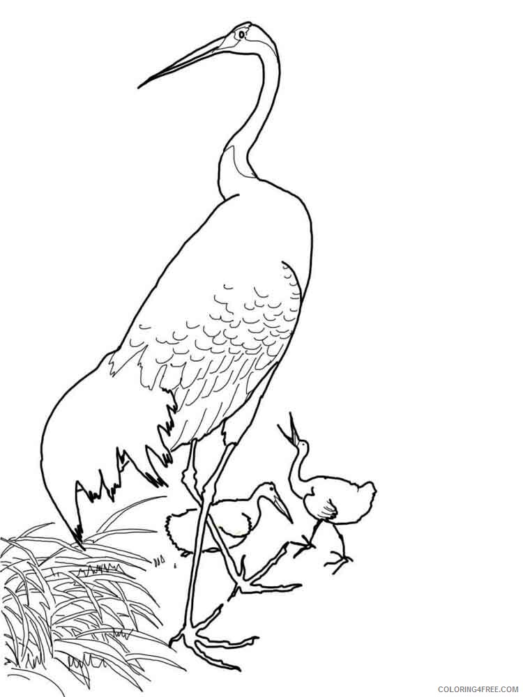 Cranes Coloring Pages Animal Printable Sheets Cranes birds 7 2021 1268 Coloring4free