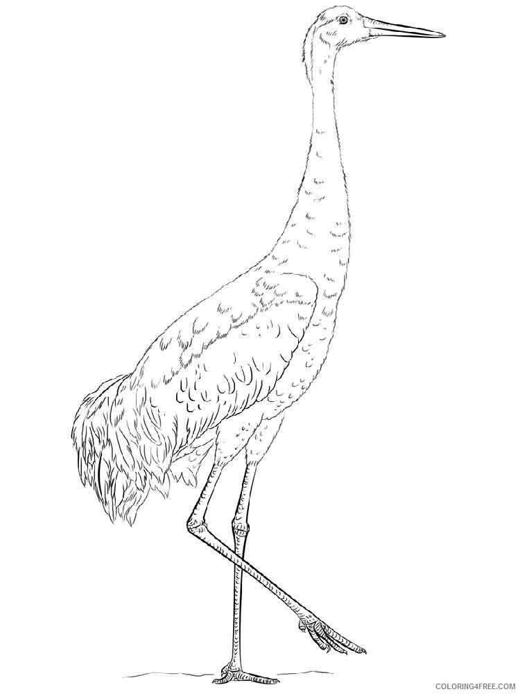 Cranes Coloring Pages Animal Printable Sheets Cranes birds 8 2021 1269 Coloring4free