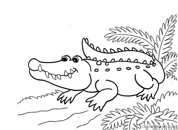 Crocodile Coloring Pages Animal Printable Crocodile Waiting on Riverside 2021 1323 Coloring4free