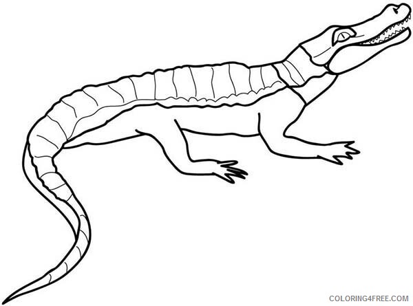 Crocodile Coloring Pages Animal Printable Sheets Crocodile Sunbathing 2021 1320 Coloring4free