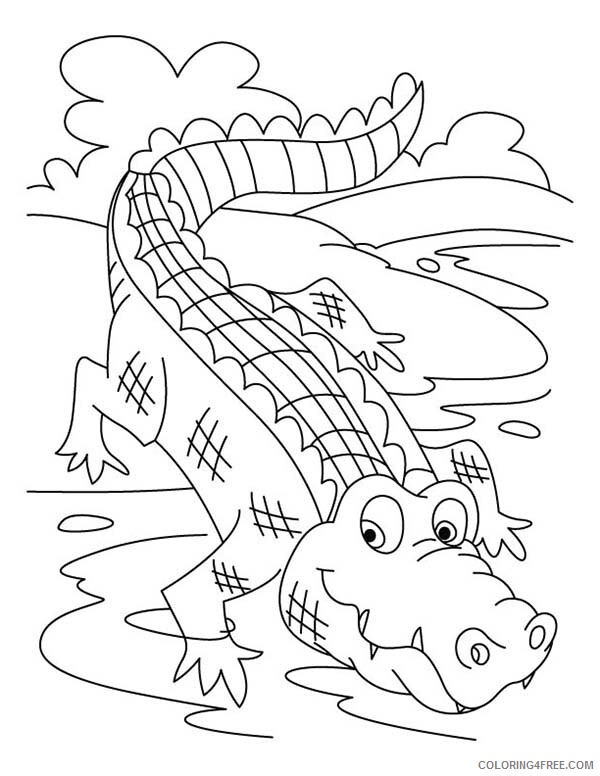 Crocodile Coloring Pages Animal Printable Sheets Crocodile Taking Bath 2021 1321 Coloring4free