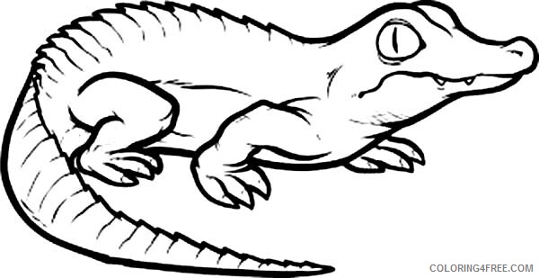 Crocodile Coloring Pages Animal Printable Sheets Crocodile for Kids 2021 1306 Coloring4free