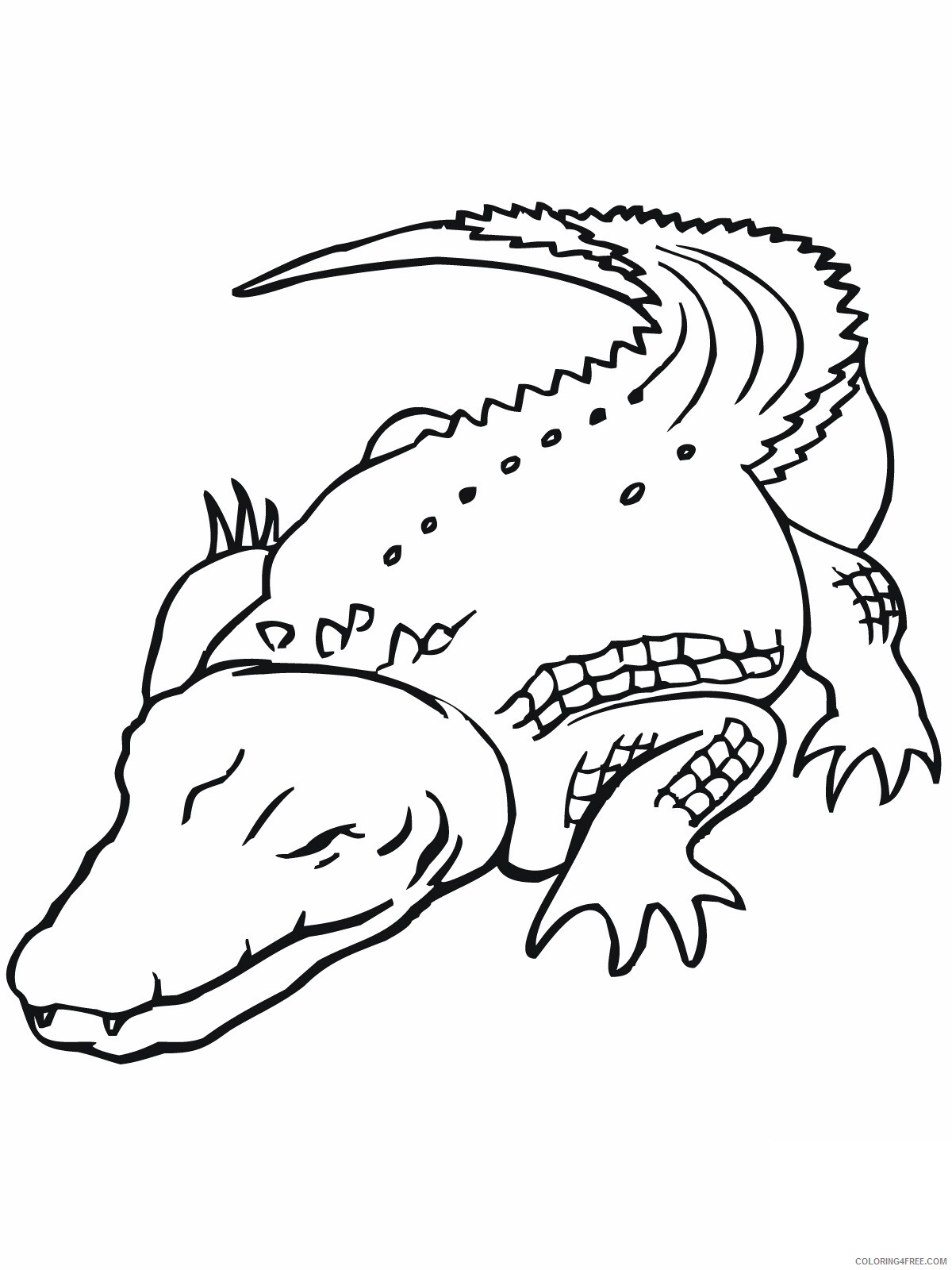 Crocodile Coloring Pages Animal Printable Sheets Printable Crocodile 2021 1327 Coloring4free
