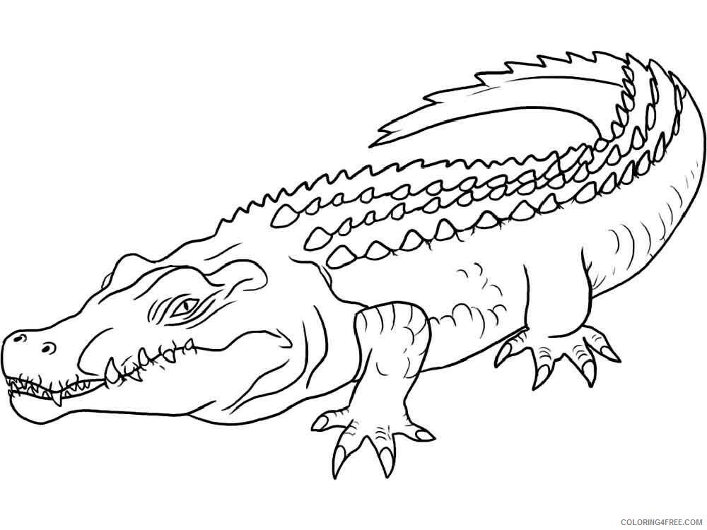Crocodile Coloring Pages Animal Printable Sheets animals crocodile 10 2021 1298 Coloring4free