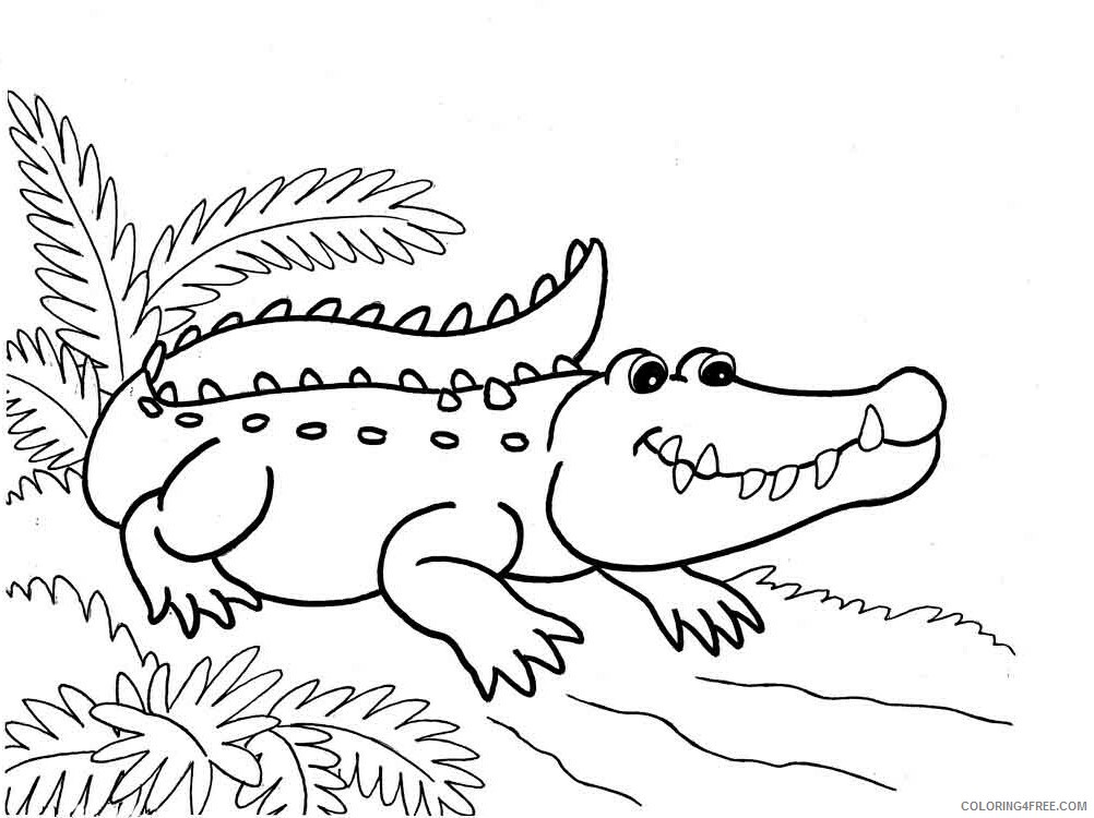 Crocodile Coloring Pages Animal Printable Sheets animals crocodile 2 2021 1299 Coloring4free
