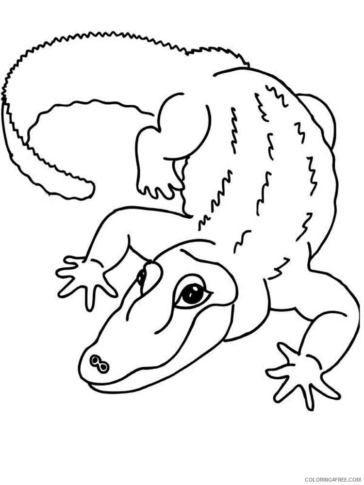 Crocodile Coloring Pages Animal Printable Sheets animals crocodile 4 2021 1300 Coloring4free