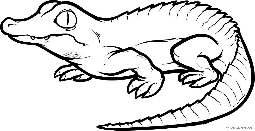 Crocodile Coloring Pages Animal Printable Sheets crocodile 2021 1303 Coloring4free