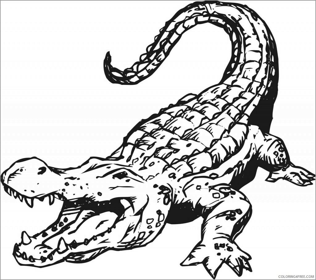 Crocodile Coloring Pages Animal Printable Sheets crocodile dangerous animals 2021 Coloring4free