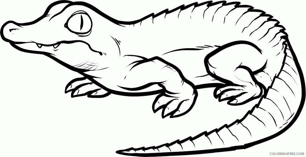 Crocodile Coloring Sheets Animal Coloring Pages Printable 2021 0995 Coloring4free