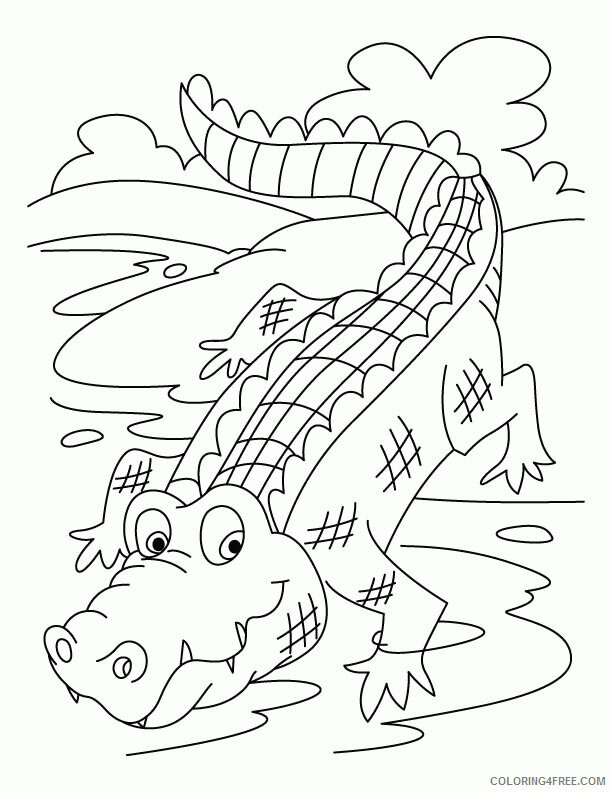 Crocodile Coloring Sheets Animal Coloring Pages Printable 2021 1000 Coloring4free
