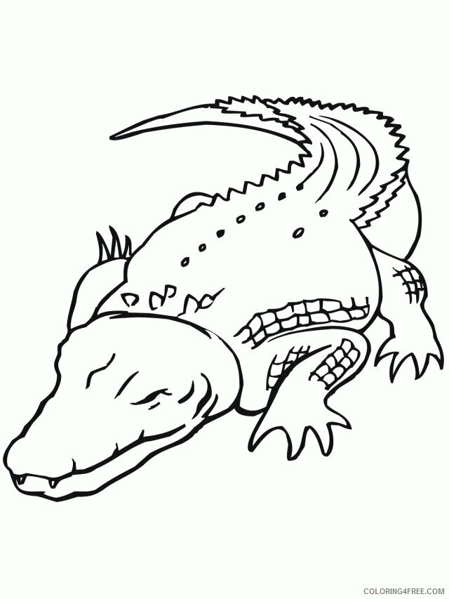 Crocodile Coloring Sheets Animal Coloring Pages Printable 2021 1003 Coloring4free