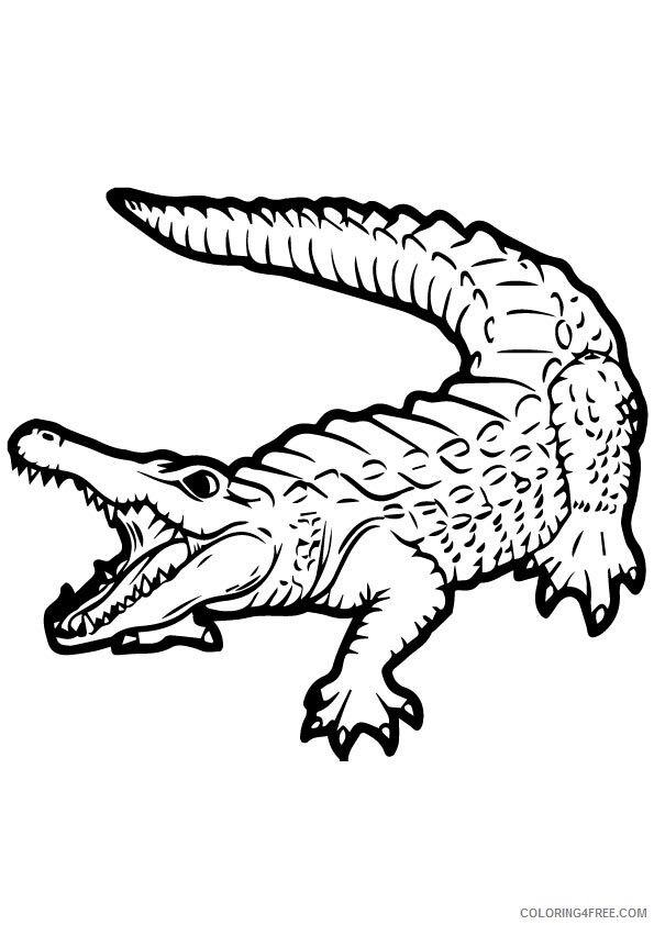Crocodile Coloring Sheets Animal Coloring Pages Printable 2021 1014 Coloring4free