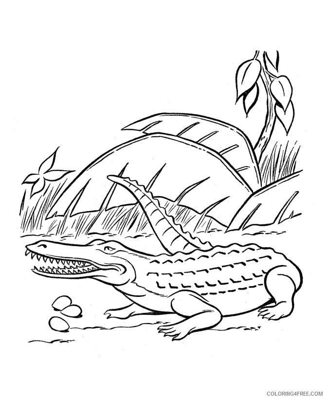 Crocodile Coloring Sheets Animal Coloring Pages Printable 2021 1030 Coloring4free