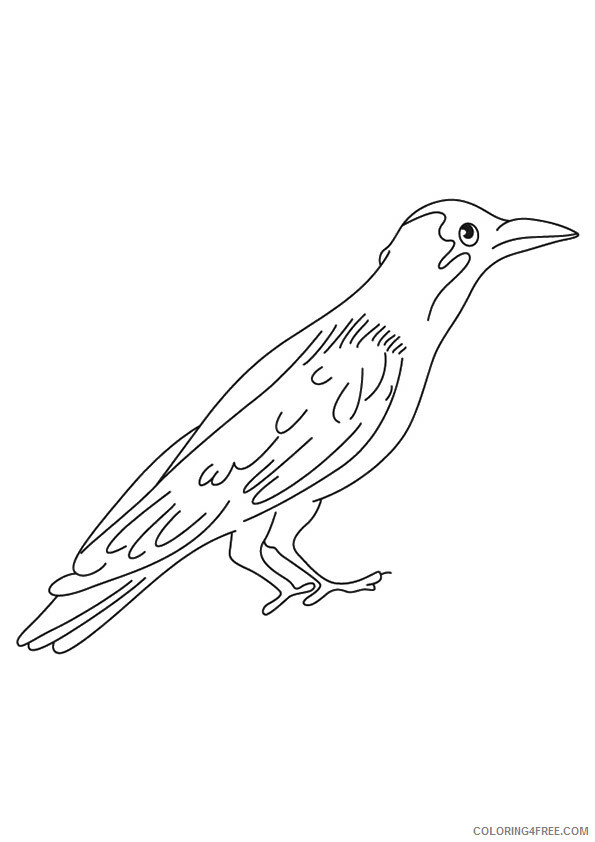 Crow Coloring Sheets Animal Coloring Pages Printable 2021 1052 Coloring4free