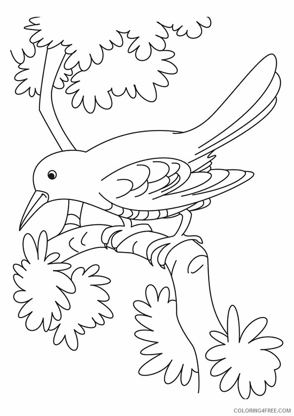 Crow Coloring Sheets Animal Coloring Pages Printable 2021 1057 Coloring4free