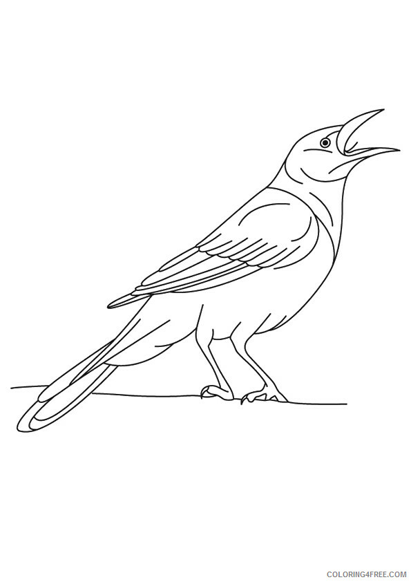 Crows Coloring Pages Animal Printable Sheets Crow 2021 1334 Coloring4free