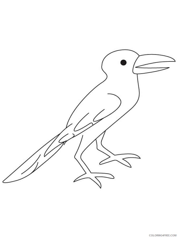 Crows Coloring Pages Animal Printable Sheets Crows birds 6 2021 1343 Coloring4free