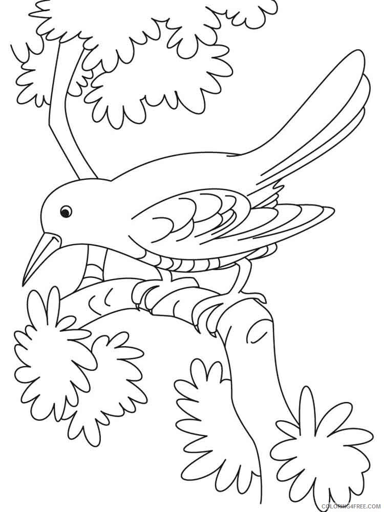 Crows Coloring Pages Animal Printable Sheets Crows birds 8 2021 1344 Coloring4free