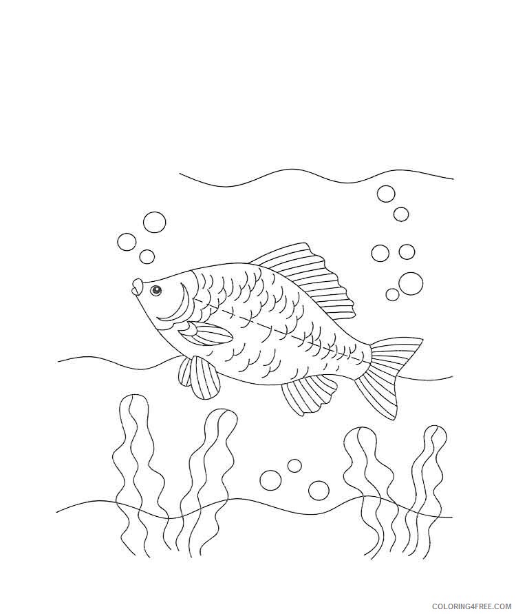 Crucian Coloring Pages Animal Printable Sheets crucian 2 2021 1349 Coloring4free