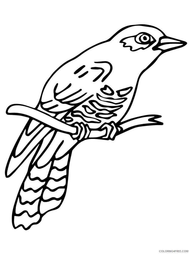 Cuckoos Coloring Pages Animal Printable Sheets Cuckoos birds 13 2021 1355 Coloring4free