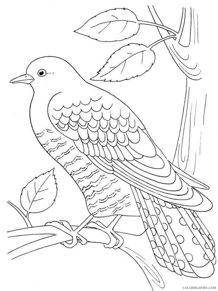 Cuckoos Coloring Pages Animal Printable Sheets Cuckoos birds 5 2021 1360 Coloring4free