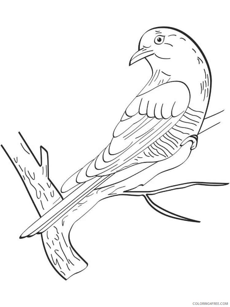 Cuckoos Coloring Pages Animal Printable Sheets Cuckoos birds 7 2021 1362 Coloring4free