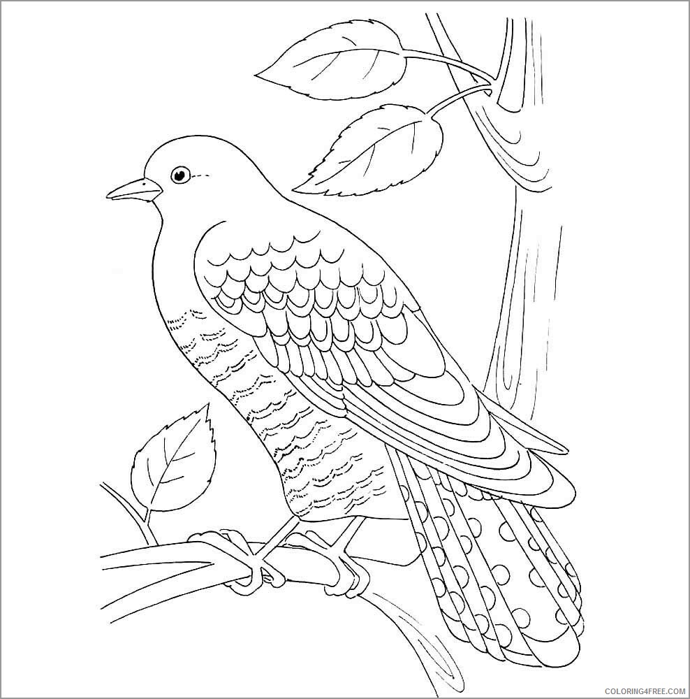 Cuckoos Coloring Pages Animal Printable Sheets printable cuckoo 2021 1364 Coloring4free