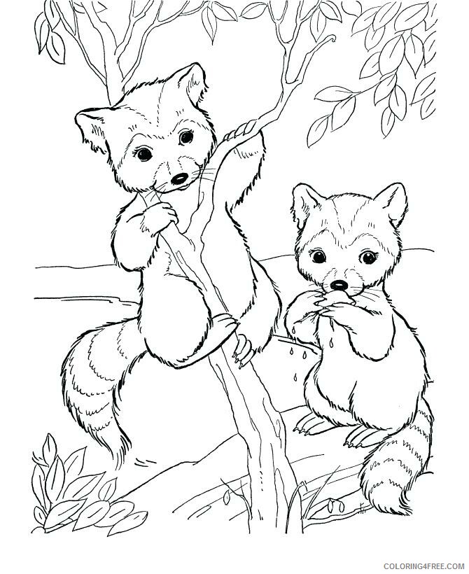 Cute Animal Coloring Pages Animal Printable Sheets Cute Animal to Print 2021 1383 Coloring4free
