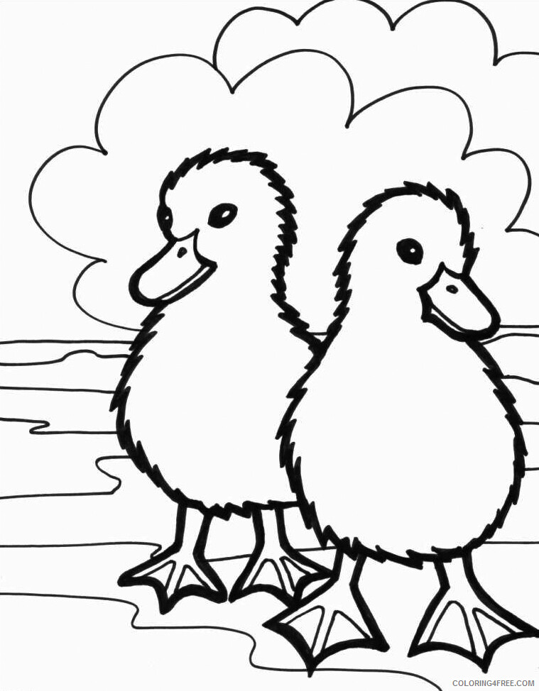 Cute Animal Coloring Pages Animal Printable Sheets Fuzzy Ducklink 2021 1390 Coloring4free