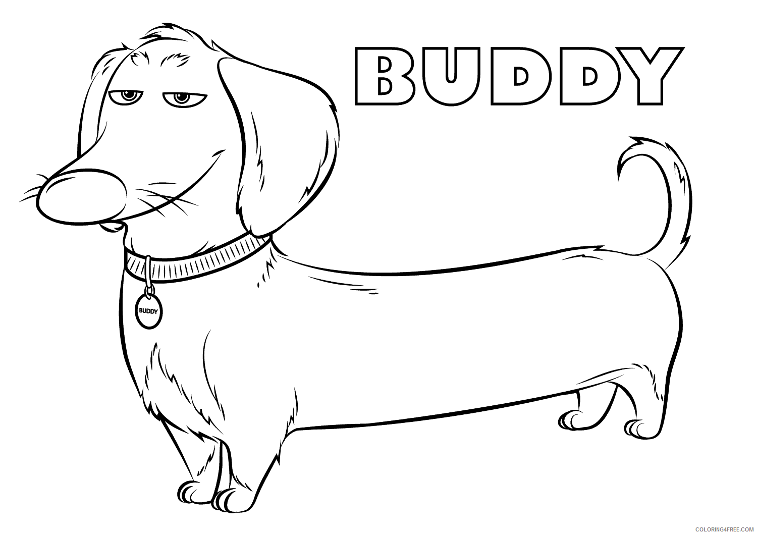 Dachshund Coloring Pages Animal Printable Sheets Buddy Dachshund Dog 2021 Coloring4free