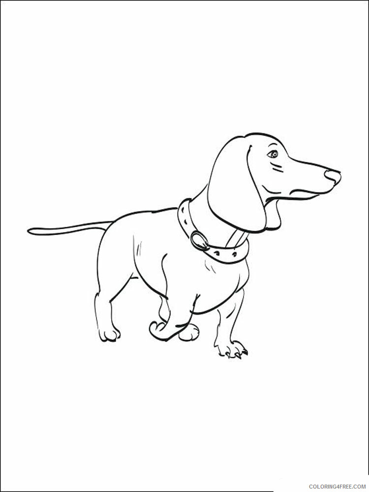 Dachshund Coloring Pages Animal Printable Sheets Dachshund 5 2021 1401 Coloring4free