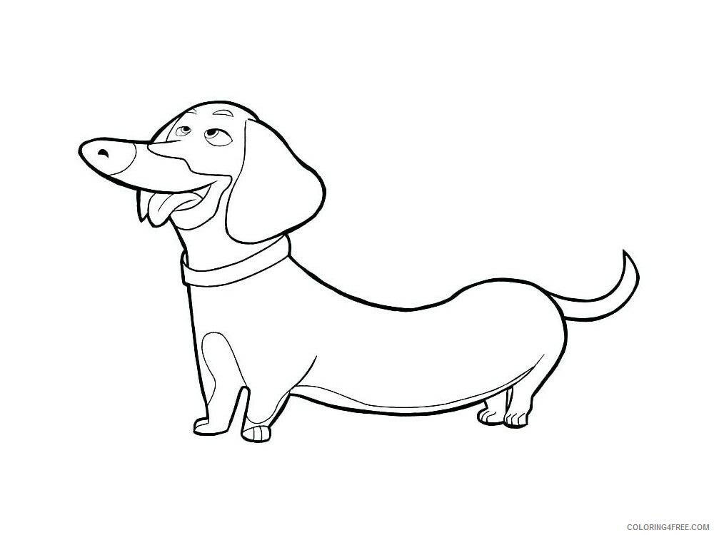 Dachshund Coloring Pages Animal Printable Sheets Dachshund 9 2021 1404 Coloring4free