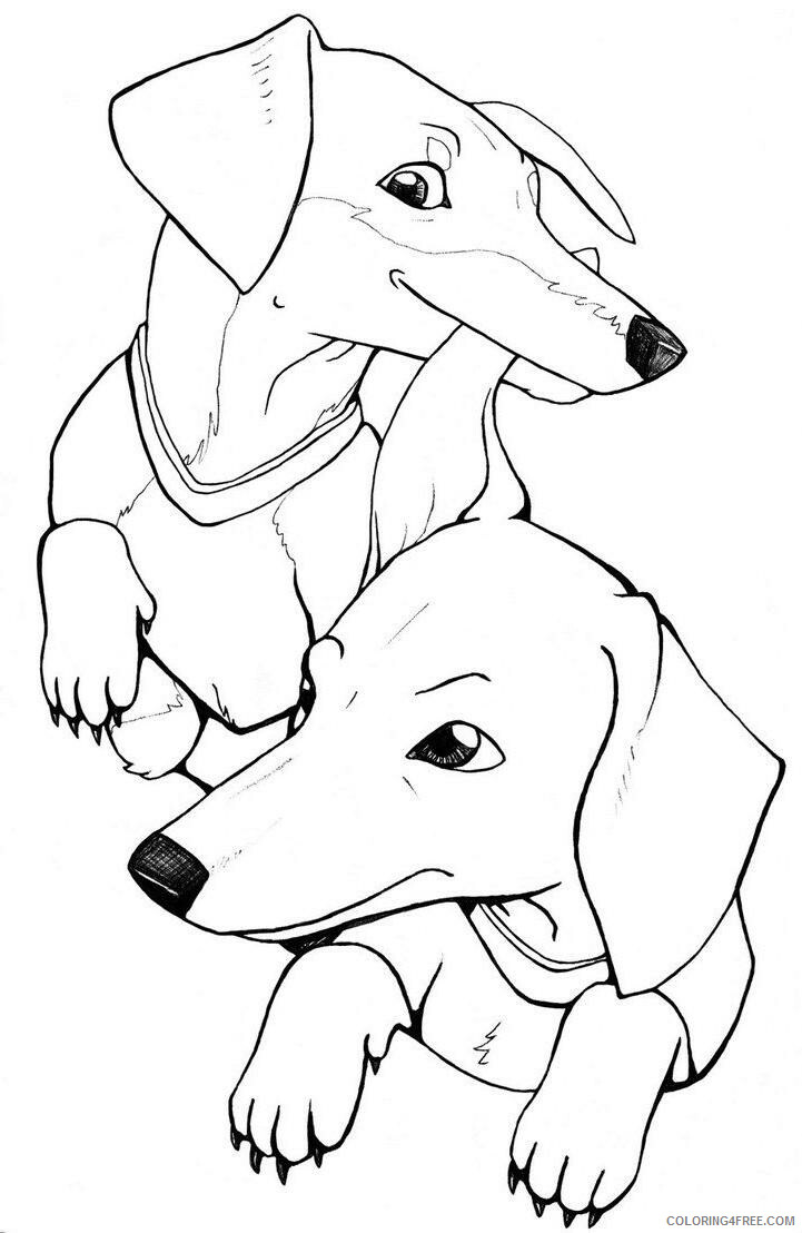 Dachshund Coloring Pages Animal Printable Sheets Dachshund Dogs 2021 1405 Coloring4free