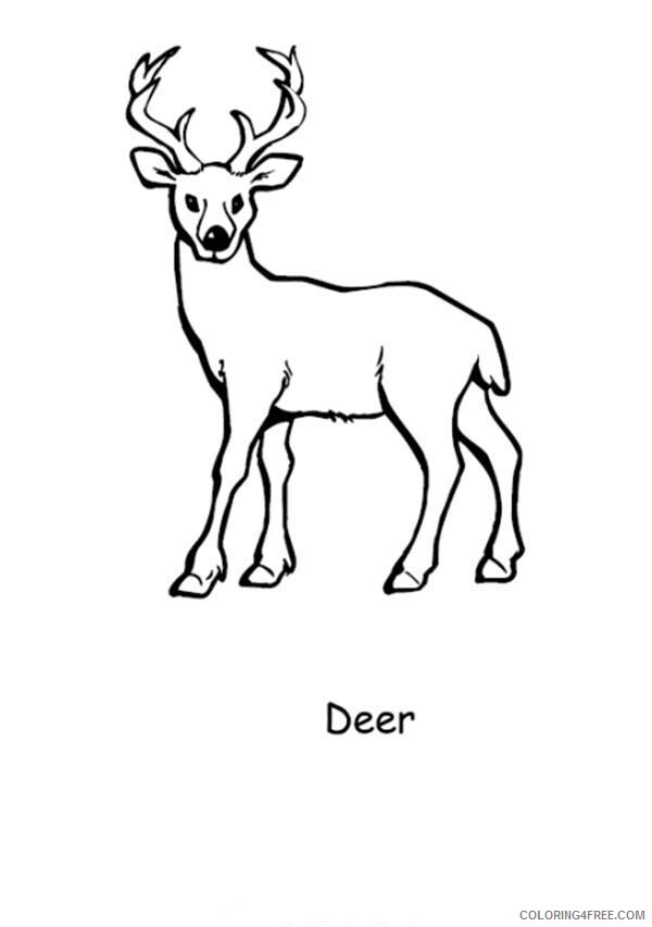 Deer Coloring Pages Animal Printable Sheets D is for Deer 2021 1447 Coloring4free
