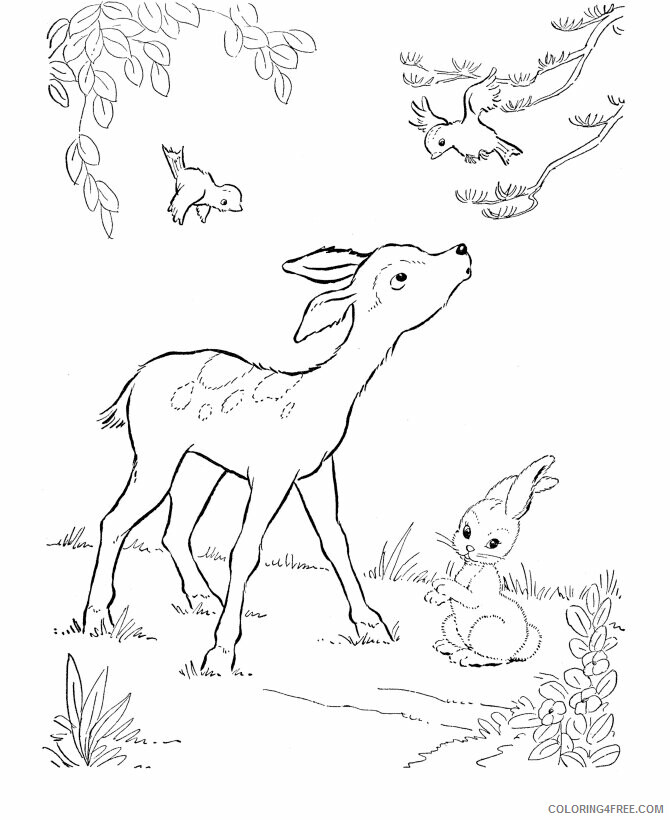 Deer Coloring Pages Animal Printable Sheets Deer 2021 1436 Coloring4free