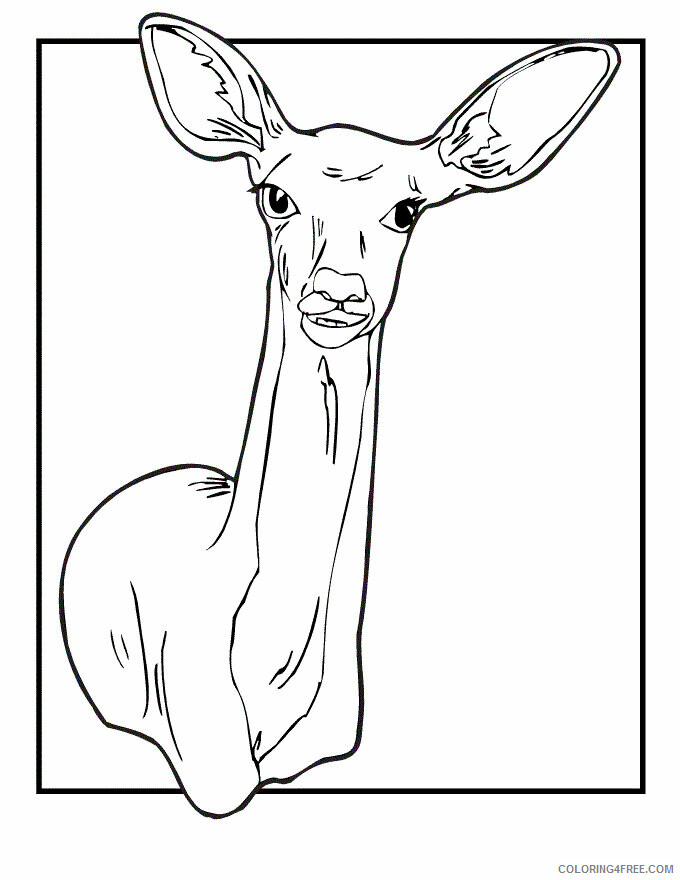Deer Coloring Pages Animal Printable Sheets Deer Images 2021 1433 Coloring4free