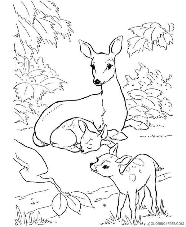 Deer Coloring Pages Animal Printable Sheets Deer Mother and Her Two Fawns 2021 Coloring4free